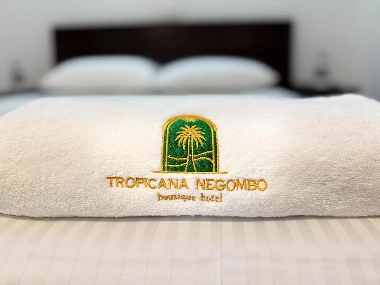 Tropicana Negombo Boutique Hotel
