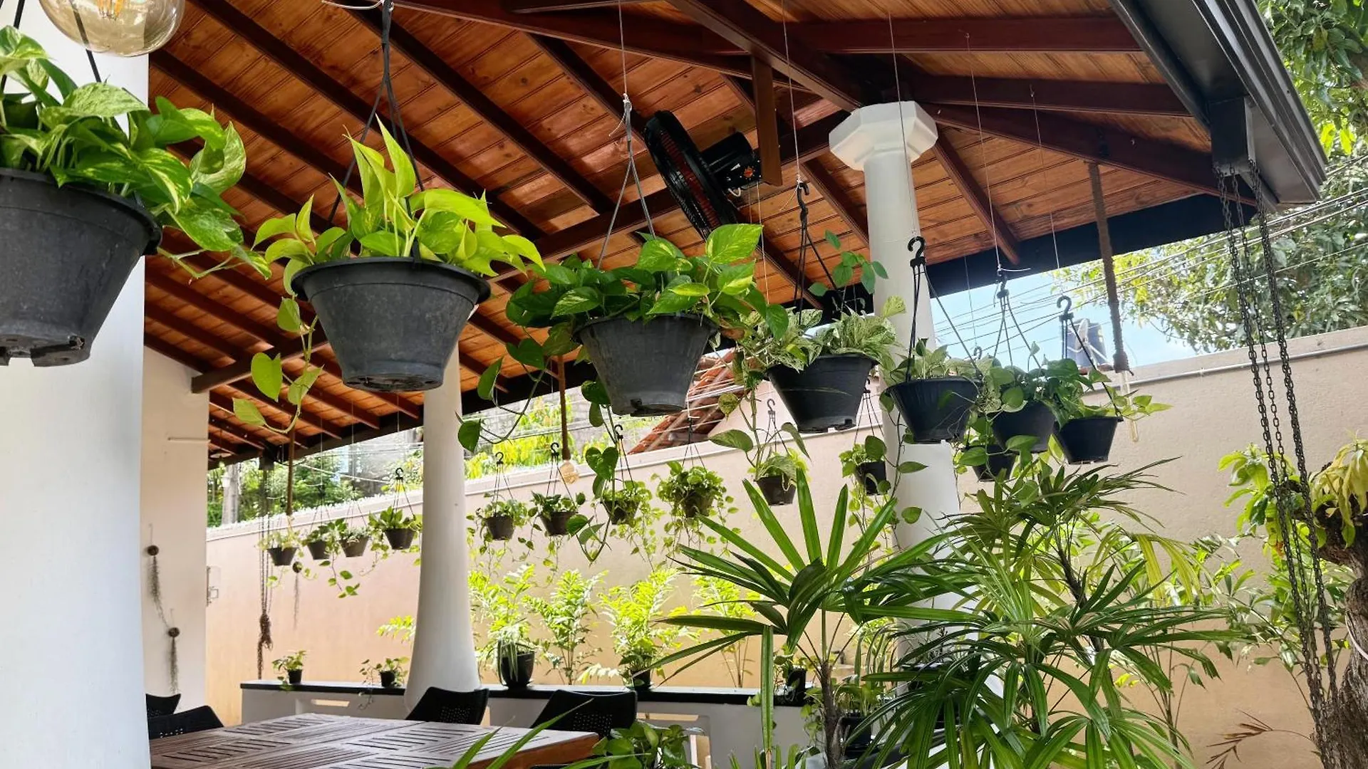 Tropicana Negombo Boutique Hotel Sri Lanka